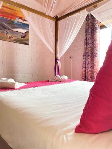 whatsapp_image_2023-02-19_at_16